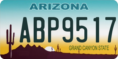 AZ license plate ABP9517