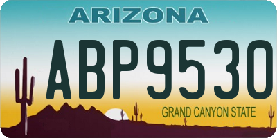 AZ license plate ABP9530