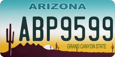 AZ license plate ABP9599