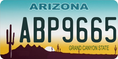 AZ license plate ABP9665