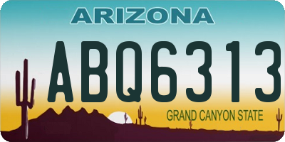 AZ license plate ABQ6313