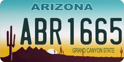 AZ license plate ABR1665