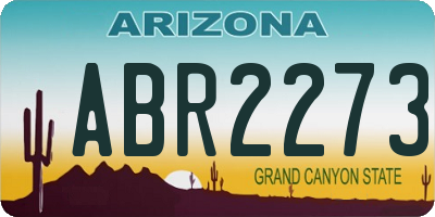 AZ license plate ABR2273