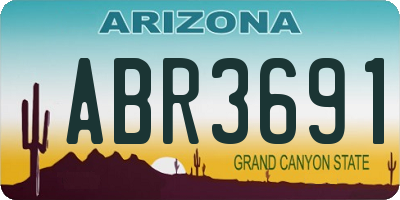AZ license plate ABR3691