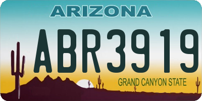 AZ license plate ABR3919