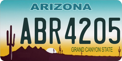 AZ license plate ABR4205