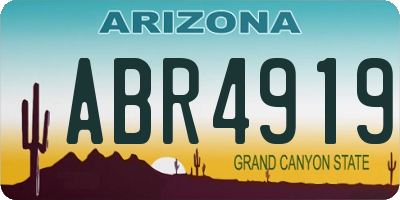 AZ license plate ABR4919