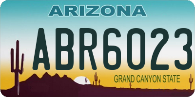 AZ license plate ABR6023