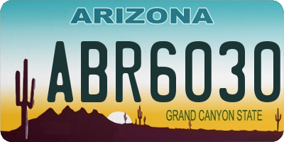 AZ license plate ABR6030
