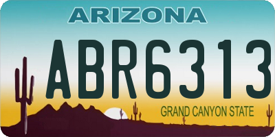AZ license plate ABR6313