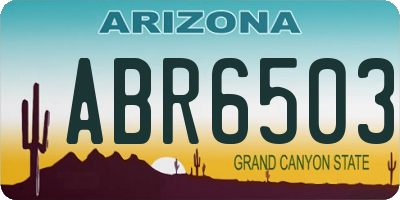 AZ license plate ABR6503