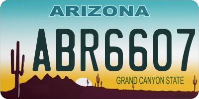 AZ license plate ABR6607