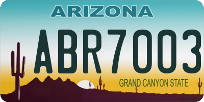 AZ license plate ABR7003