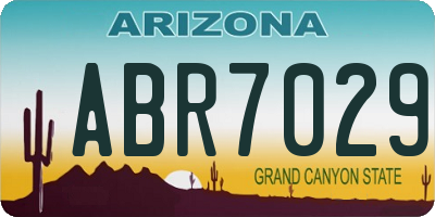 AZ license plate ABR7029