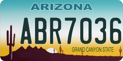 AZ license plate ABR7036