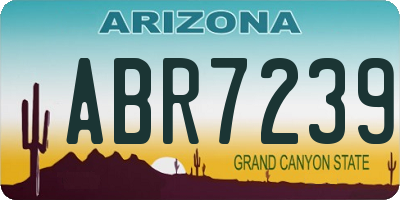 AZ license plate ABR7239