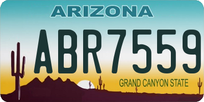 AZ license plate ABR7559