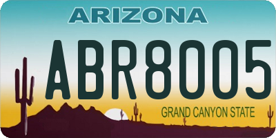 AZ license plate ABR8005