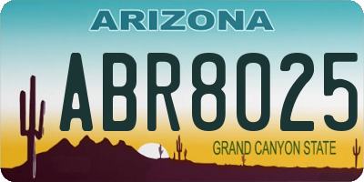 AZ license plate ABR8025