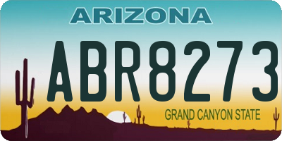 AZ license plate ABR8273