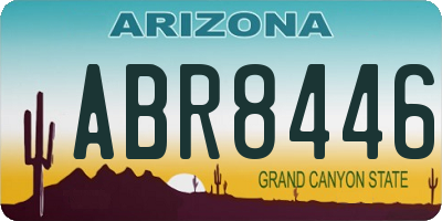 AZ license plate ABR8446