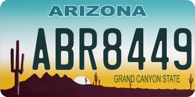 AZ license plate ABR8449