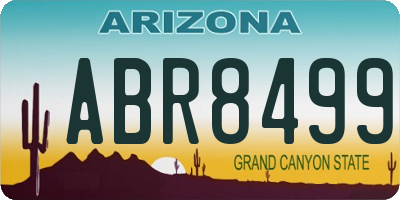 AZ license plate ABR8499