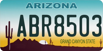 AZ license plate ABR8503
