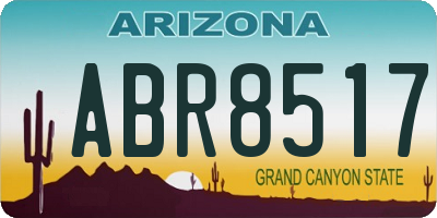 AZ license plate ABR8517