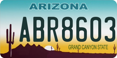 AZ license plate ABR8603