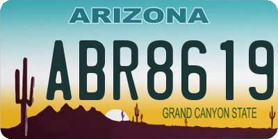 AZ license plate ABR8619