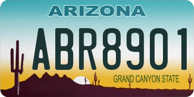 AZ license plate ABR8901