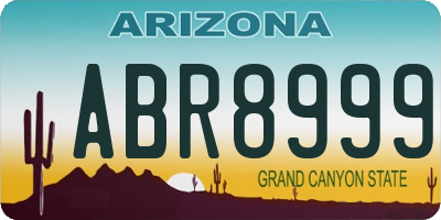 AZ license plate ABR8999