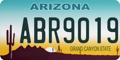 AZ license plate ABR9019