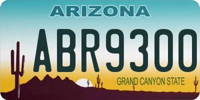 AZ license plate ABR9300