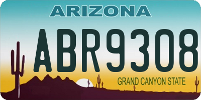 AZ license plate ABR9308