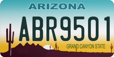 AZ license plate ABR9501
