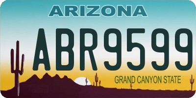 AZ license plate ABR9599
