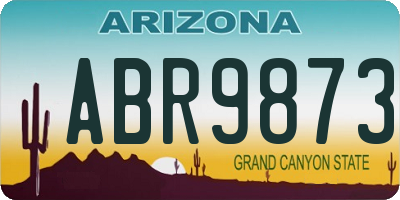 AZ license plate ABR9873