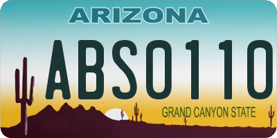 AZ license plate ABS0110