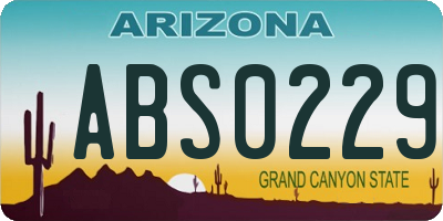 AZ license plate ABS0229