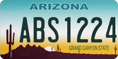 AZ license plate ABS1224