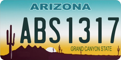 AZ license plate ABS1317