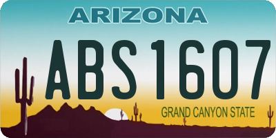 AZ license plate ABS1607