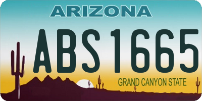 AZ license plate ABS1665