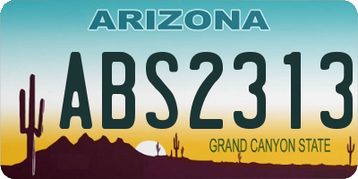 AZ license plate ABS2313