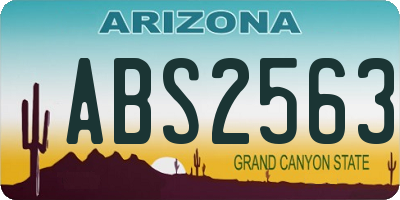 AZ license plate ABS2563