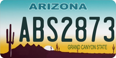 AZ license plate ABS2873