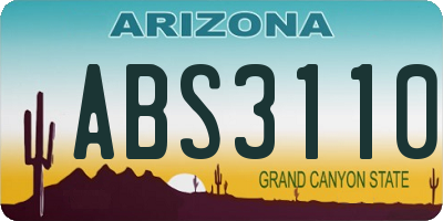 AZ license plate ABS3110