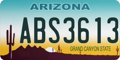 AZ license plate ABS3613